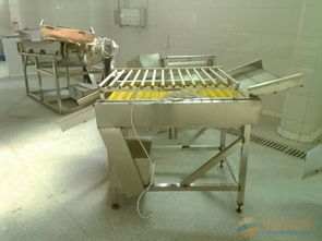 广州黄埔区废旧食品厂设备专业回收指南