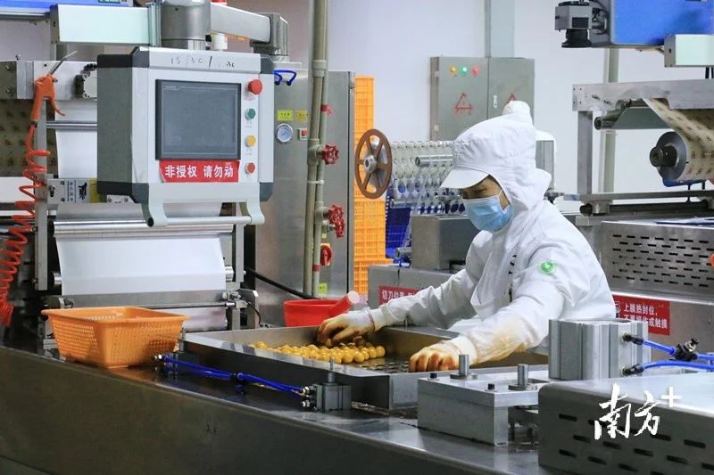 潮声回响丨期待潮州输出更多食品工业发展经验